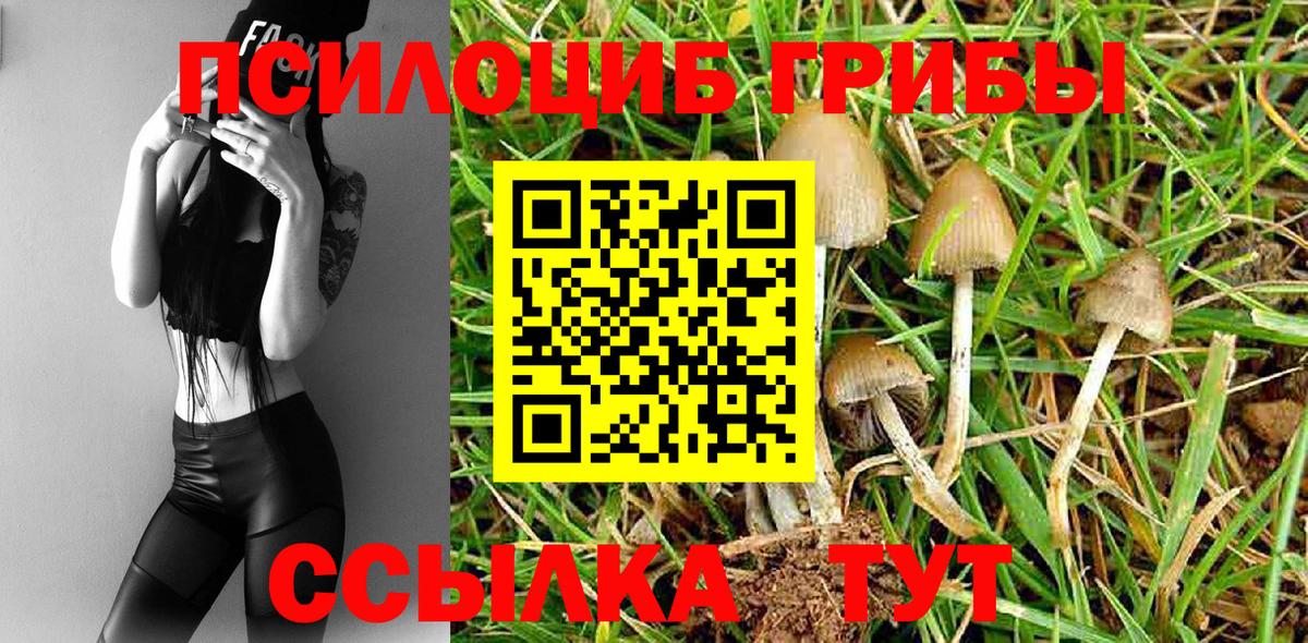 Темрюк  Галлюциногенные грибы Cubensis  Галлюциногенные грибы Magic Shrooms  Вход с VPN 